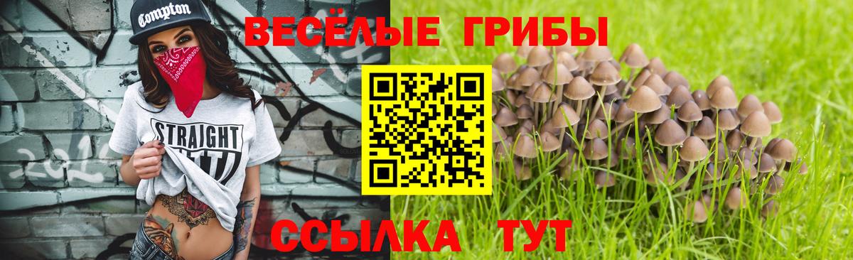 Лангепас  Псилоцибиновые грибы мицелий  Вход с VPN 